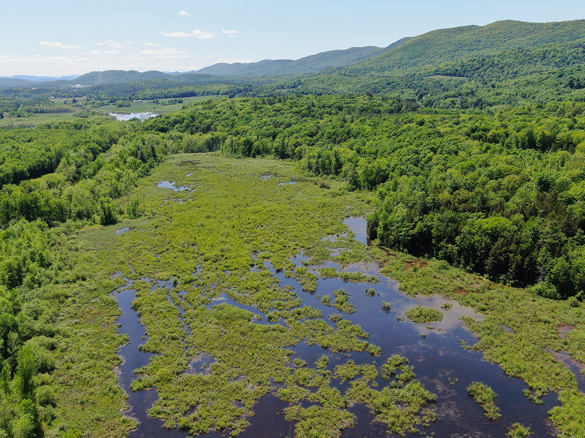 DU Mitigation Program Expands Into Michigan Ducks Unlimited